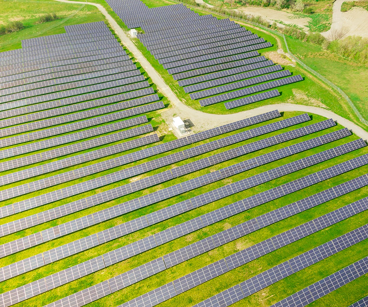 Dự án nông nghiệp