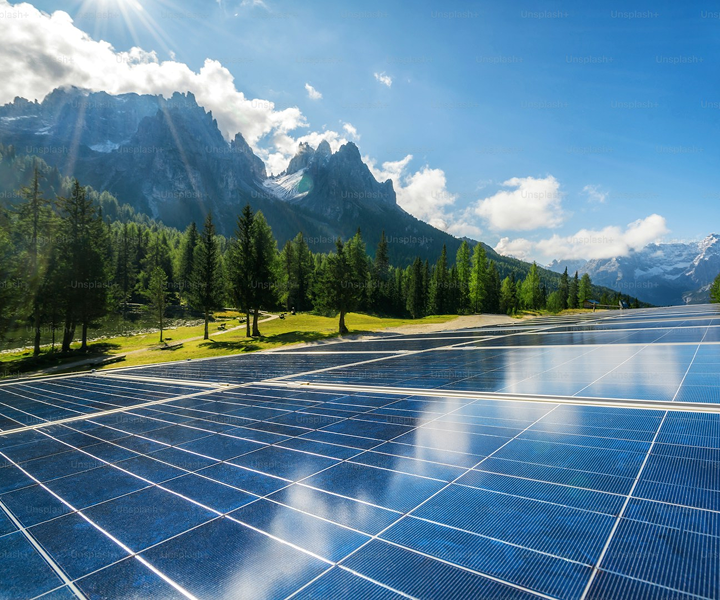 Dự án nông nghiệp